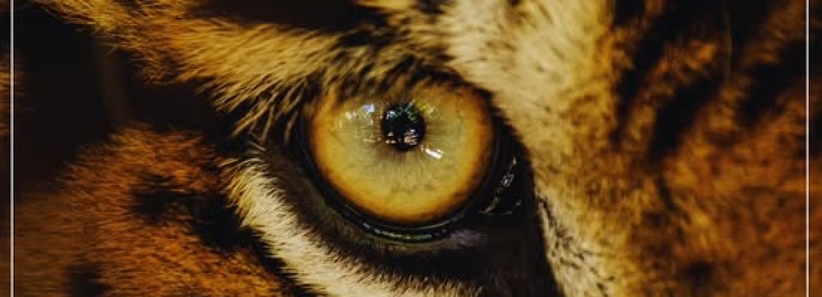 Jim Corbett Jeep Safari Booking Jim Corbett National Park Cover Image