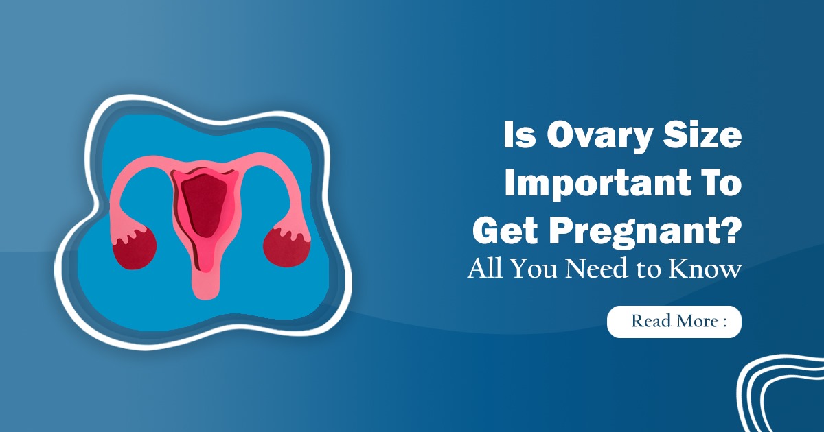Is ovary size important to get pregnant? Expert Insights