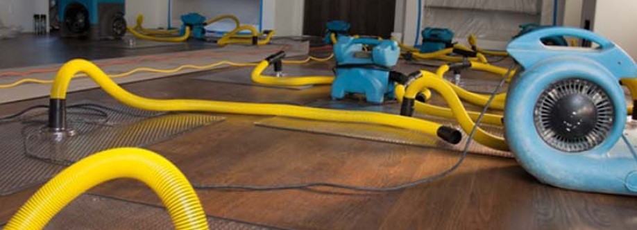 Urgent Restoration Cover Image