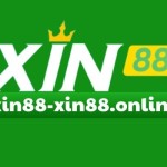 XIN88 Profile Picture