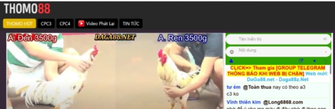 Thomo88 Đá Gà Đỉnh Cao Cover Image