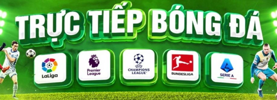 Mollysmovementcom lua dao Cover Image