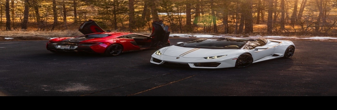 Majestic Roars Cover Image