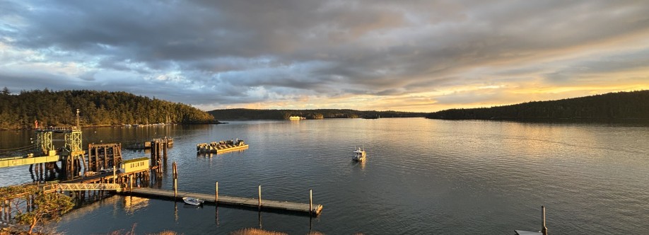 The Landing At Orcas Cover Image