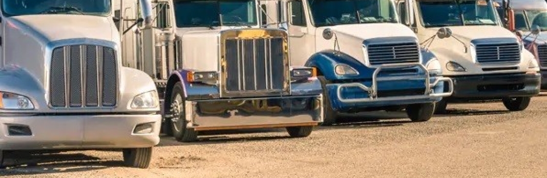 Saint John Capital Cover Image