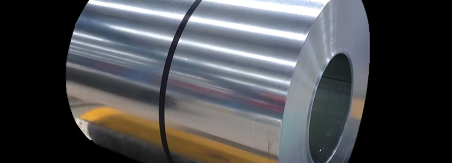 ph steels Cover Image