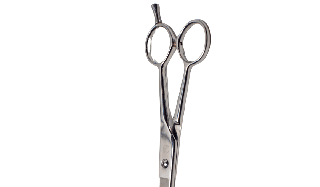 Top Mistakes to Avoid When Using Grooming Shears