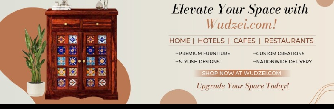 Wudzei India Cover Image