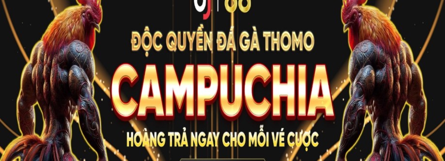 bj8885 com Cover Image