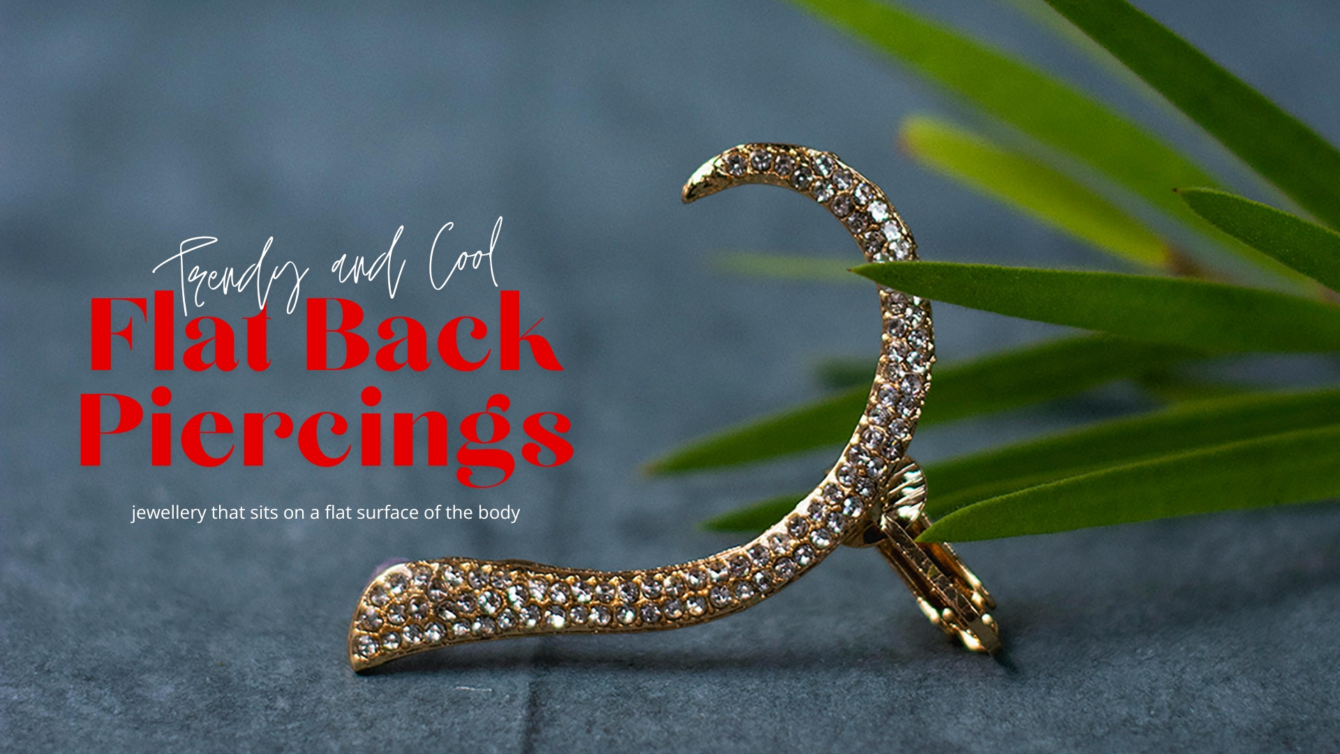 Flat Piercings in 2024 - What Makes Us Love Them? - Piercing Jewelry Manufacturer offers Retail and wholesale at factory price.