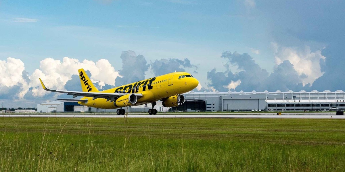 Las mejores experiencias en Houston