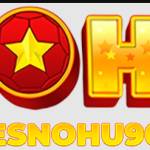 No hu Profile Picture