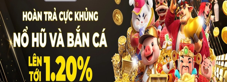 Betvisa Cover Image