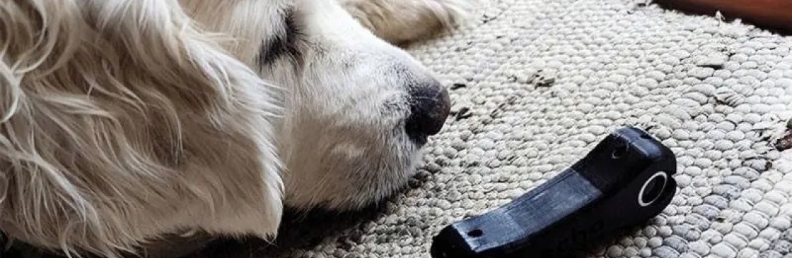 echoblinddog Cover Image