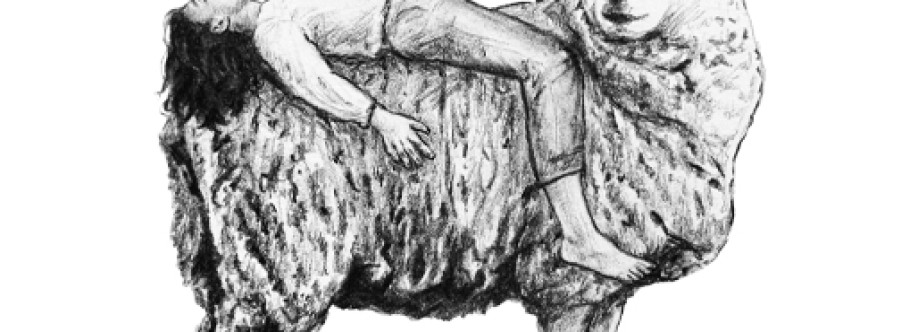 SCIENCESHEEP LLC Cover Image