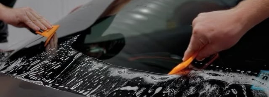 Evolved Tinting Solutions Cover Image