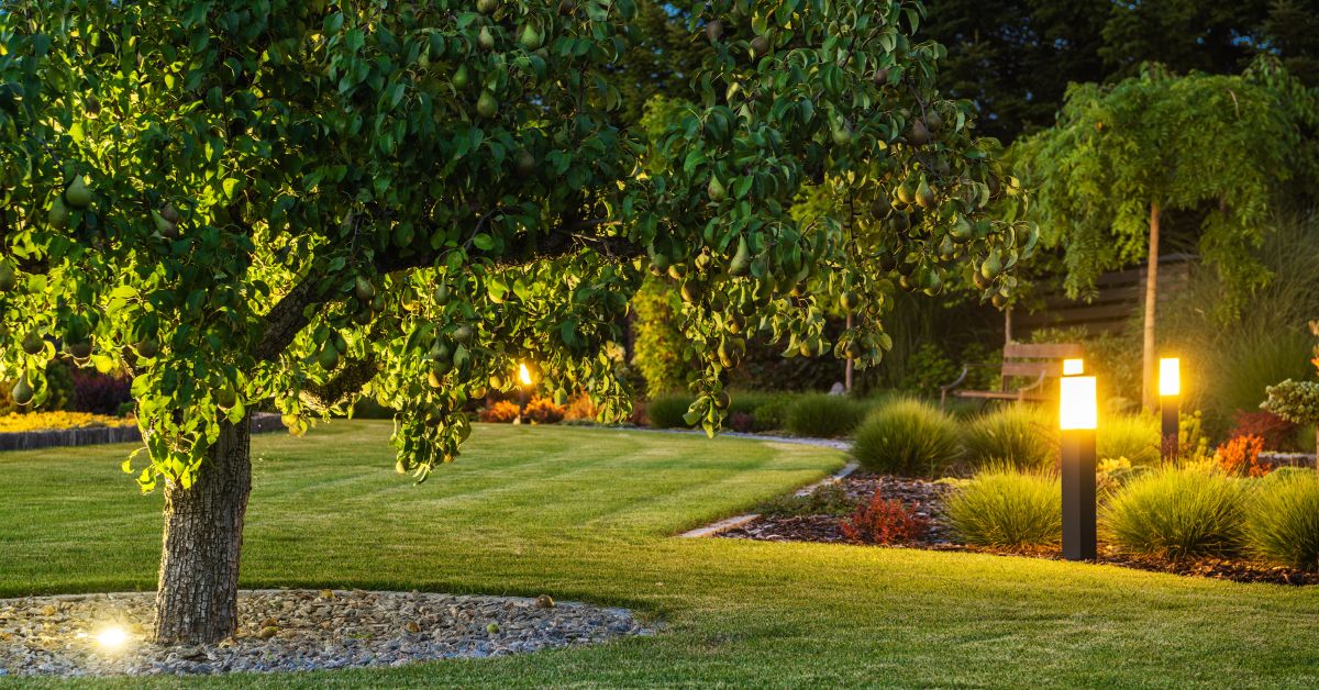Best Landscape Lighting Alpharetta | Enhance Your Outdoor Space