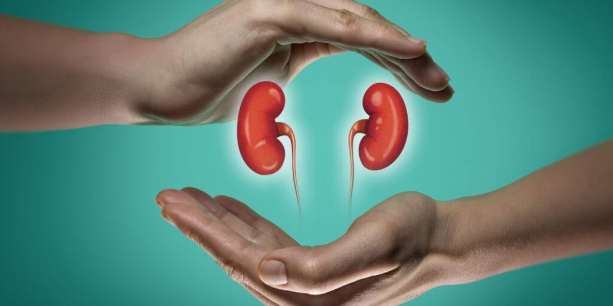 Comprehensive and Affordable Organ Transplants: Kidney and Liver Transplantation in India with Indian Health Adviser