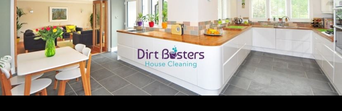 Dirt Busters Cover Image