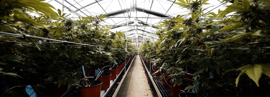 Tim Watson Cover Image