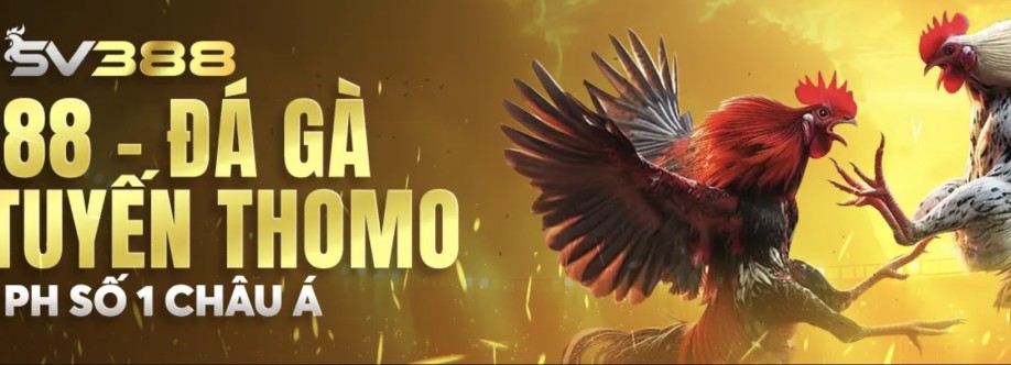 SV388 Đá gà trực tiếp Thomo Cover Image