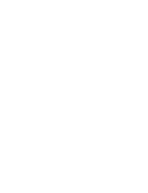 Sustainable Plant-Based Flavors for Your Dishes | Uhhmami