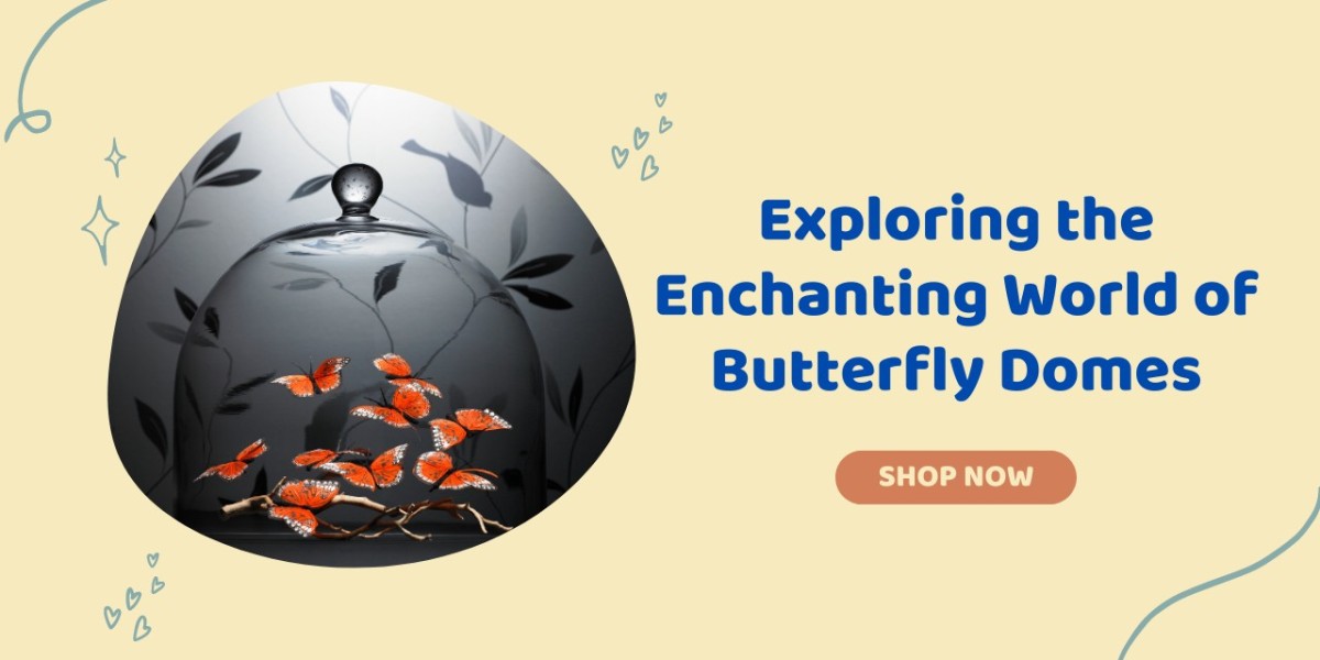 Exploring the Enchanting World of Butterfly Domes