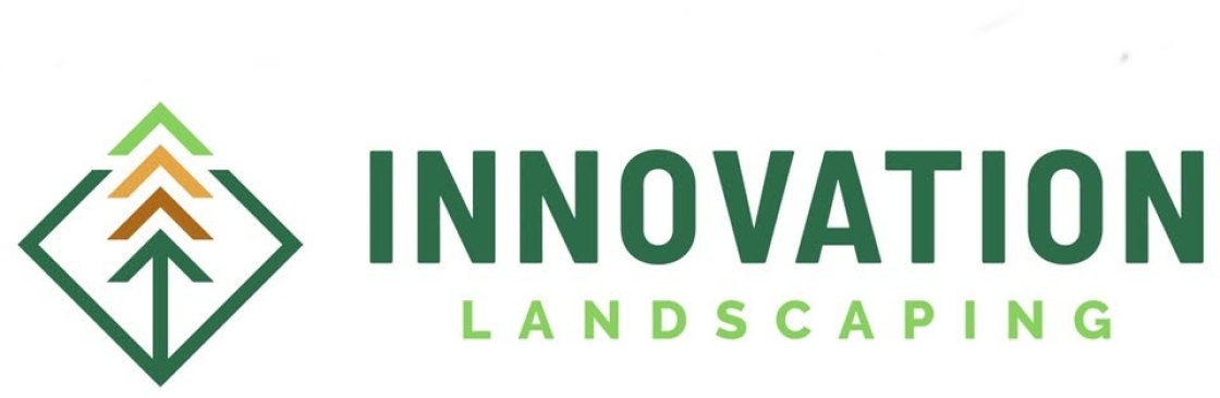 Innovation Landscaping Cover Image
