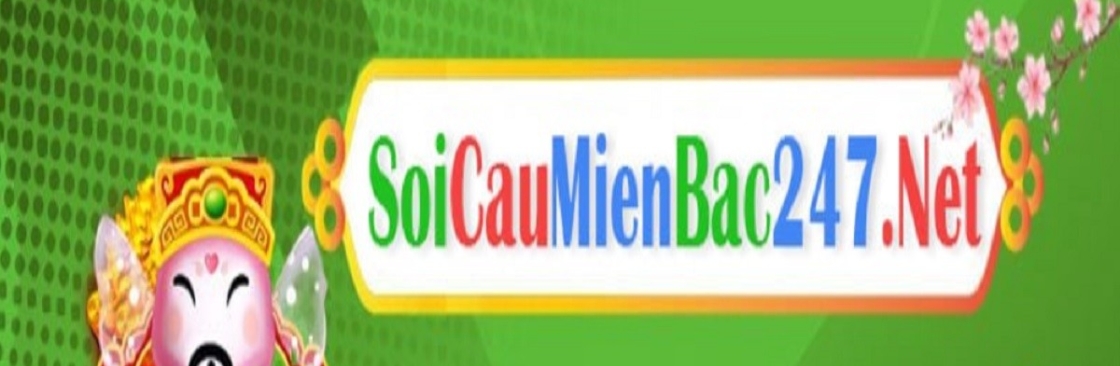 soicau 247 Cover Image