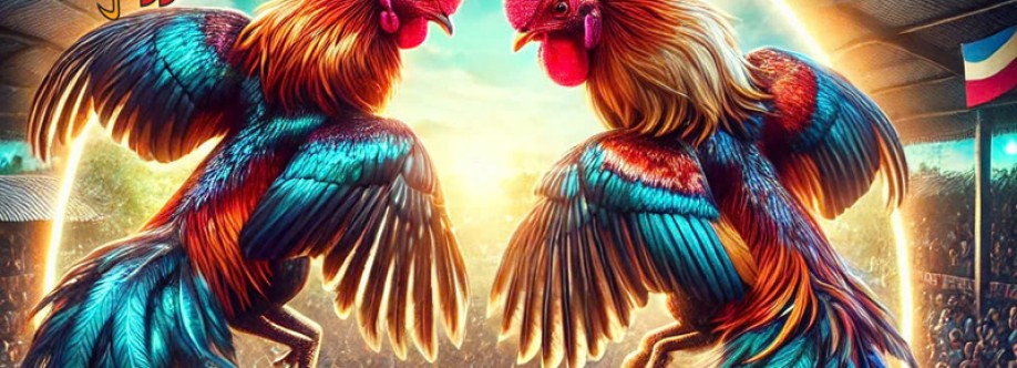 Nhà cái Daga88 Cover Image