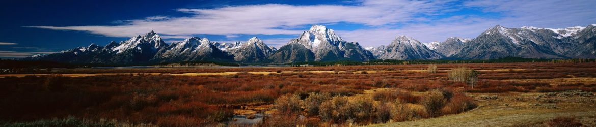 Stereo - ROCKY MOUNTAIN MICROSCOPE CORPORATION