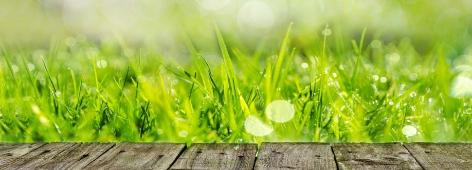 Steves Lawns Inc Cover Image