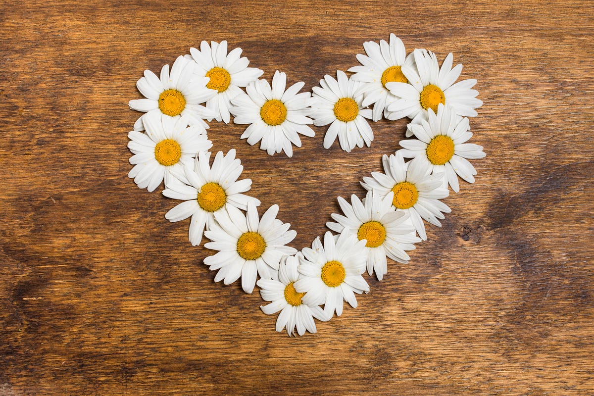 How Chamomile Can Improve Sleep, Skin, and Digestion | by Nikhil Badgu | Apr, 2025 | Medium