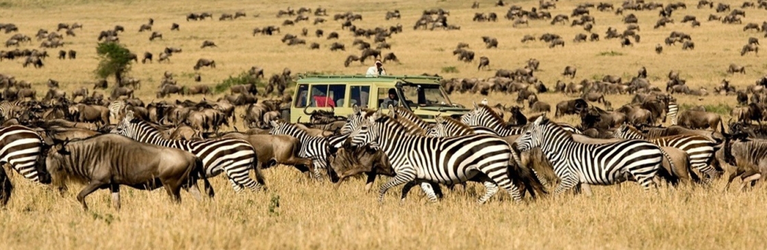 High Peaks Expeditions Ltd Cover Image