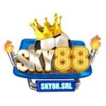 Sky88 Srl Profile Picture