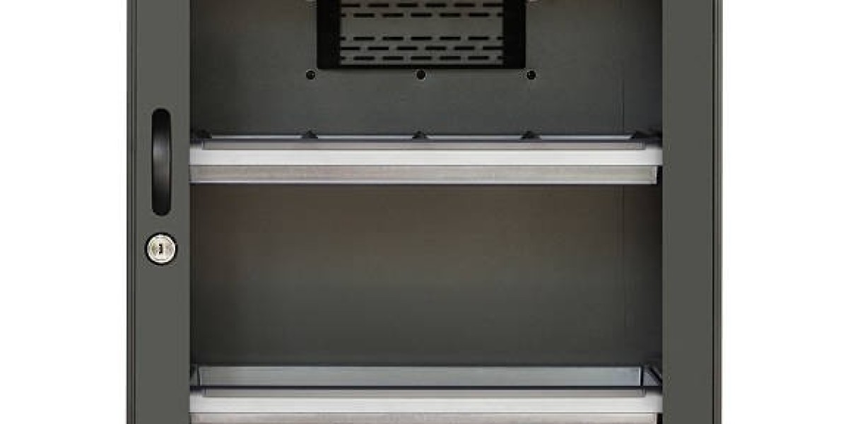 The Silent Shield: Why Every Lab Needs a Dry Box Cabinet