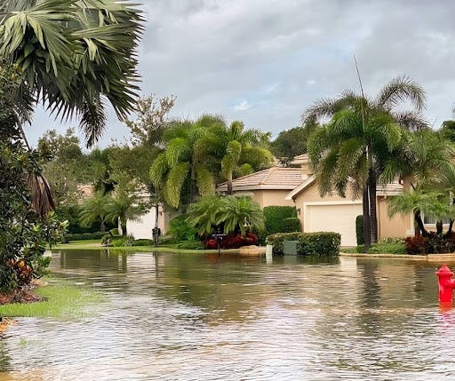 NFIP vs. Private Flood Insurance: Affordable Protection for Your Home | by Flood Insurance HQ | Apr, 2025 | Medium