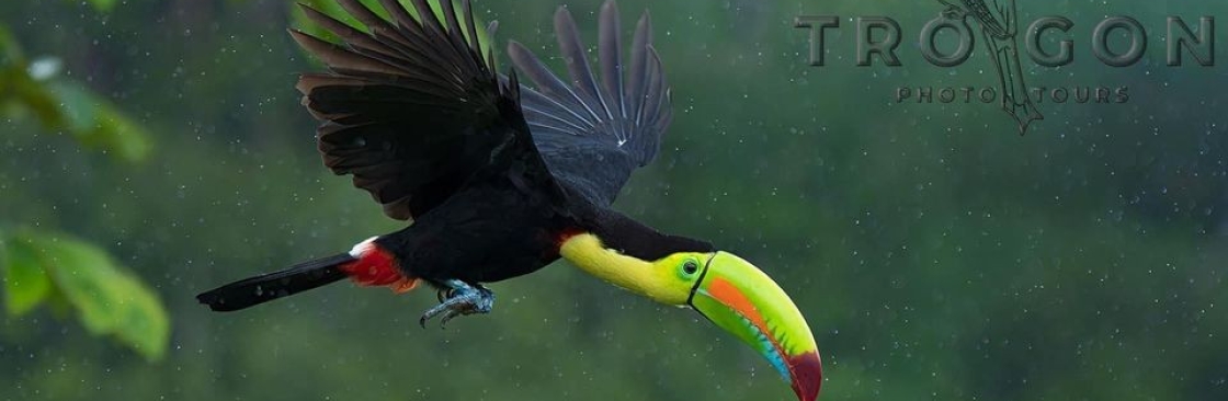 Nate Chappell Cover Image