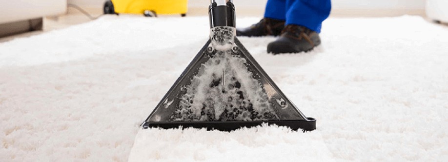 St Albert Carpet Cleaning Cover Image