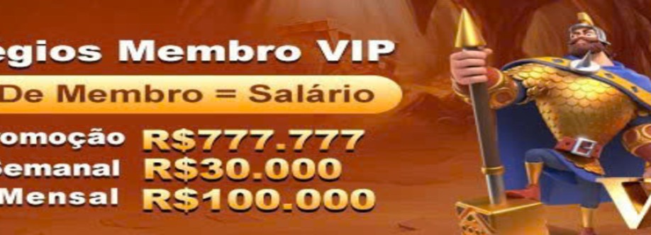 netbr netbr Cover Image