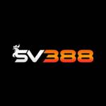 SV388Tong Profile Picture