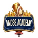 VND88 Profile Picture