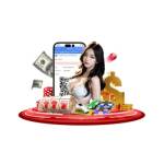 MASTER POKER Profile Picture