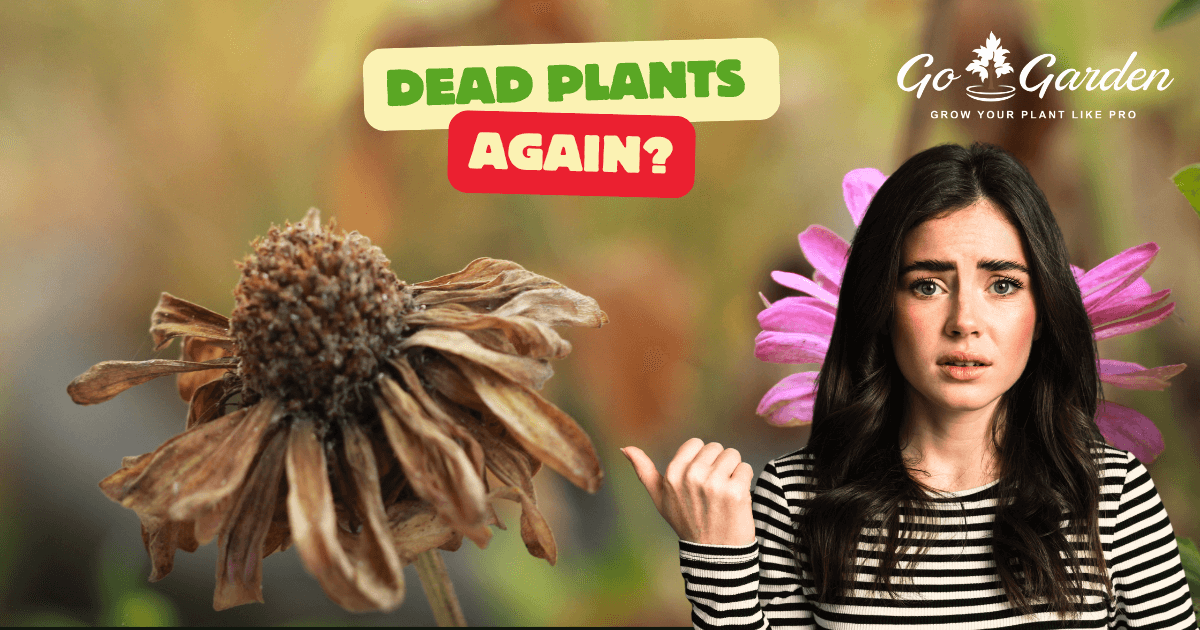 Plant Food Sticks That Revive Indoor Plants Fast – Go Garden