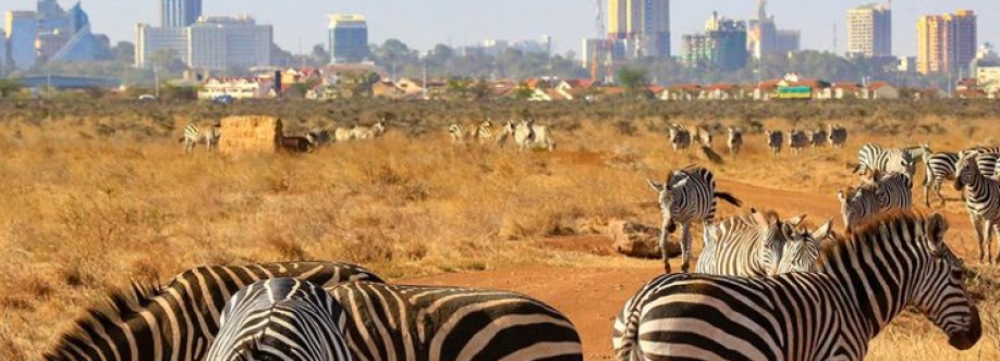 African Travellers Ltd Cover Image