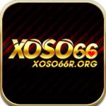 XOSO66 Profile Picture