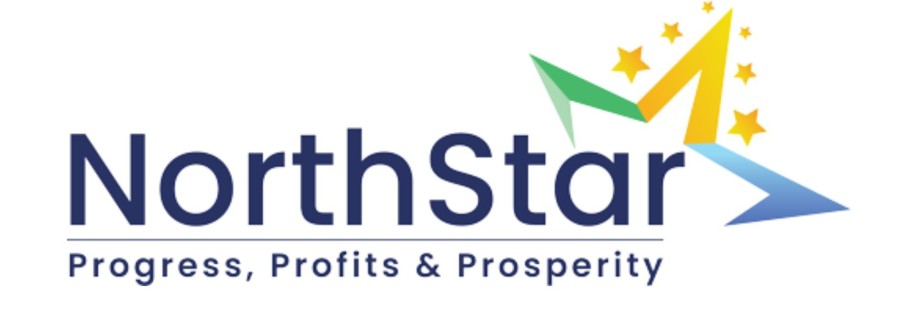 North Star Global Cover Image