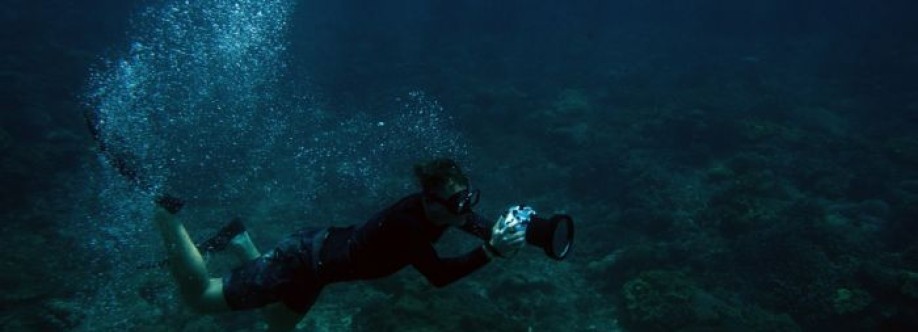 Petro Divers Cover Image