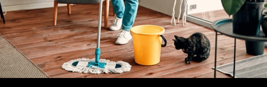 SoCal Cleaners Cover Image