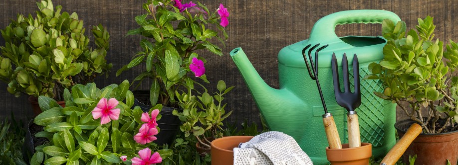 Bricomarche Cover Image